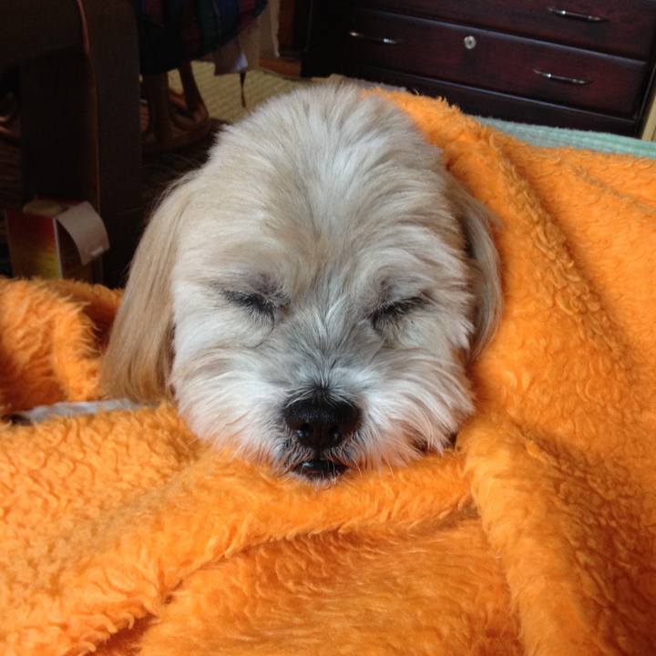 F482e90b a495 4928 b83f dde378cd9aaa