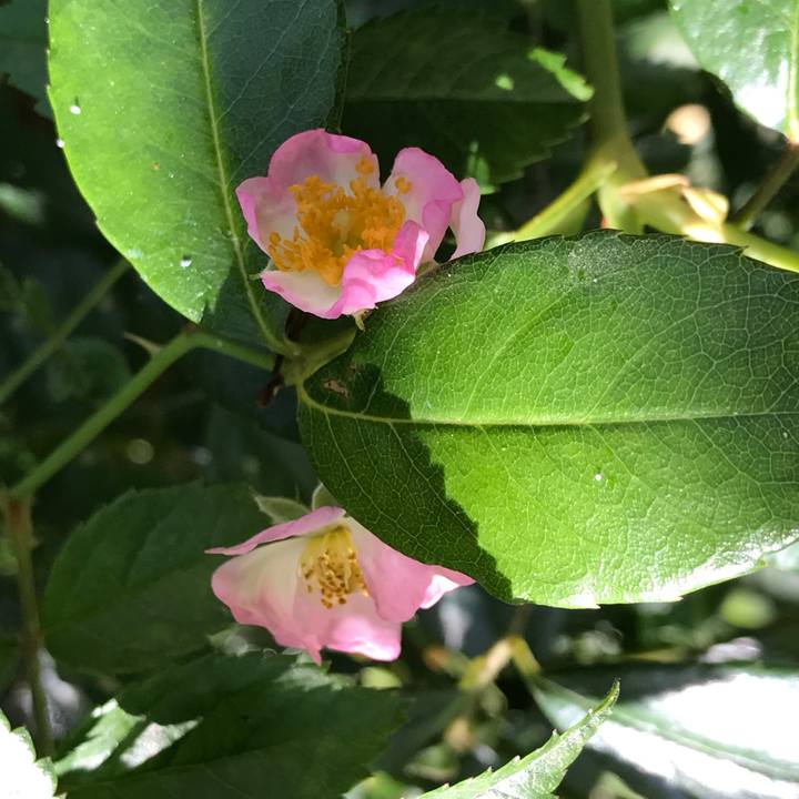 F482fe00 6f6b 480a ba39 7be0ad7abd70