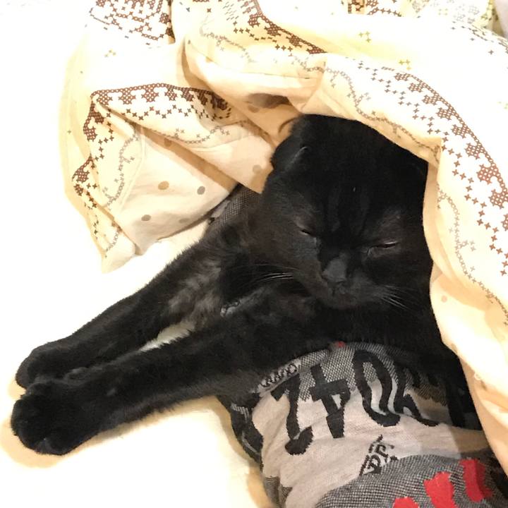 F483214c cddc 429d b08e 90f253781e25