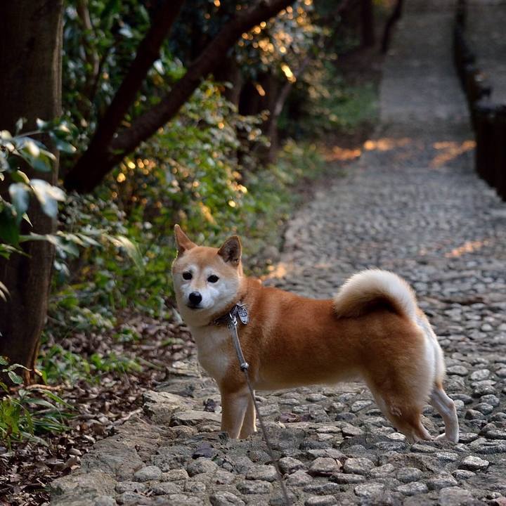 F4837b70 fd15 4270 99d9 8223d021306c