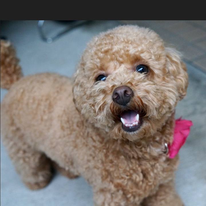 F483899b ed48 435b 8a70 1b1264f86a3f