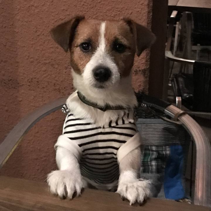 F48389e8 f78d 425e 94fb 1e84e2364d48