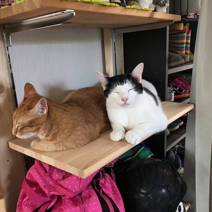 F483a09f 88eb 4091 b554 416ed8c7faa3