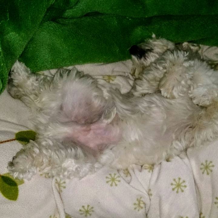 F483cdca d18f 40ef 8486 9c0c8e716495