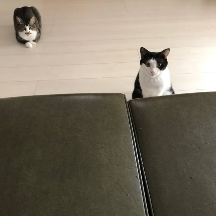 F4847448 a7e5 4a5a 967f ea7f93a4f653