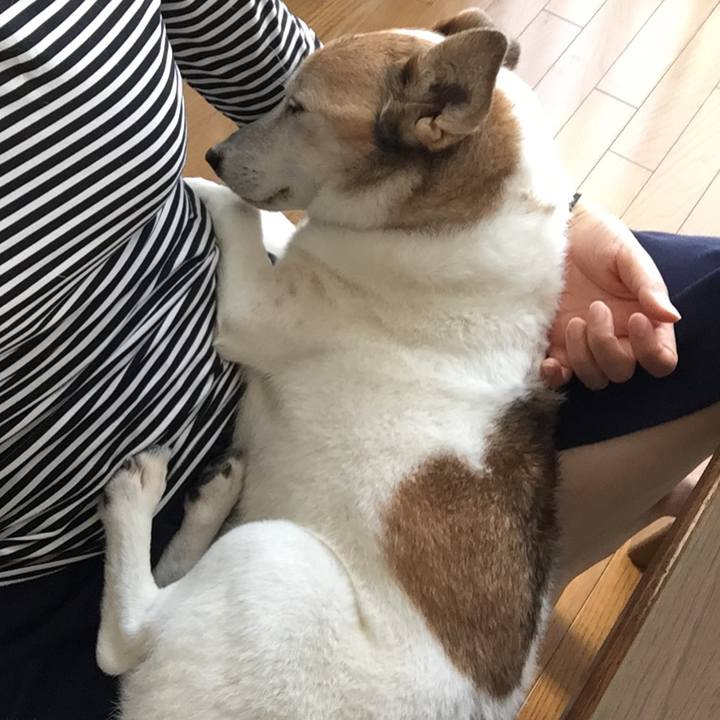 F48487b1 dc8e 454a acf0 50acd5213925