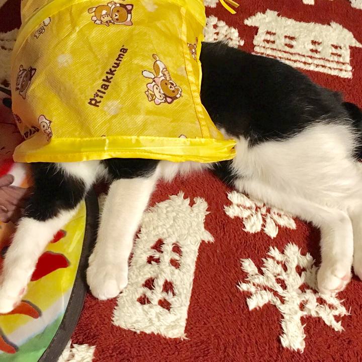 F484d207 5b39 486a 8455 bc2ac96f4b5c