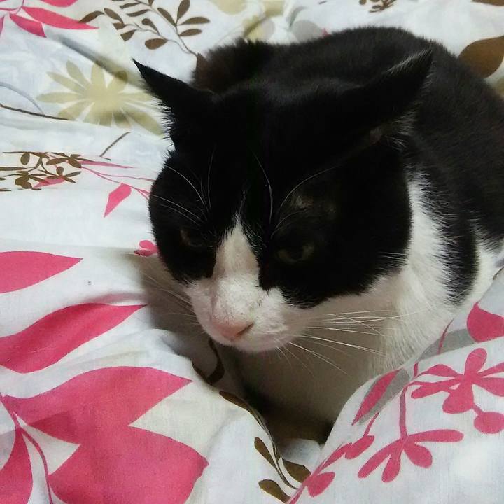 F4851dfa 9e8d 4f76 a222 f98f972edd75