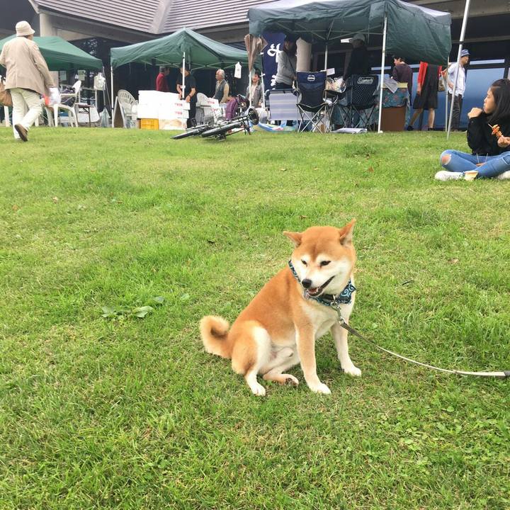 F48539f1 f8df 40e1 af13 4a0e228c1287