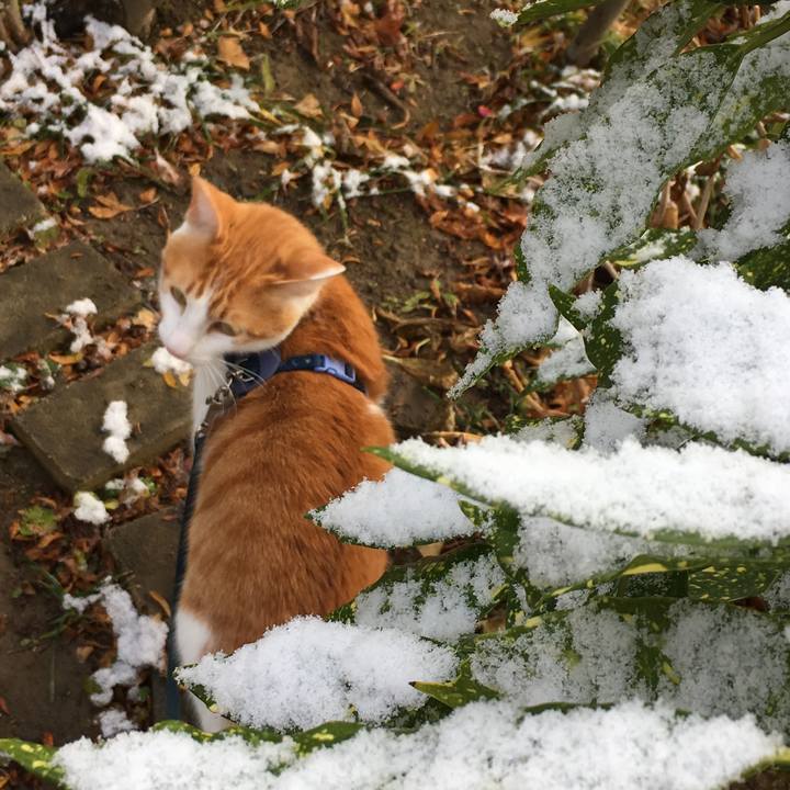 F485a1ef 3248 4049 9d2e 09fb74f24698