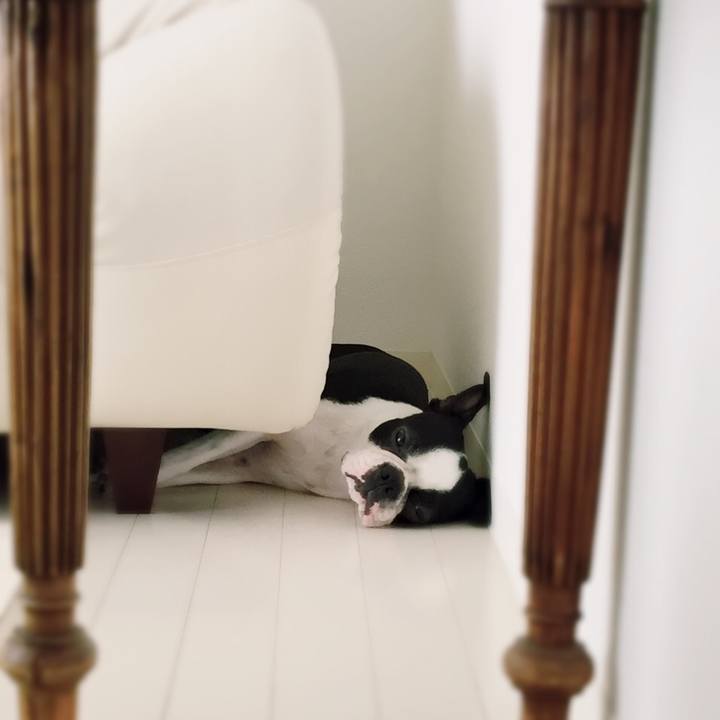 F48704c5 0e43 452f acd5 3dd1887ae2ef