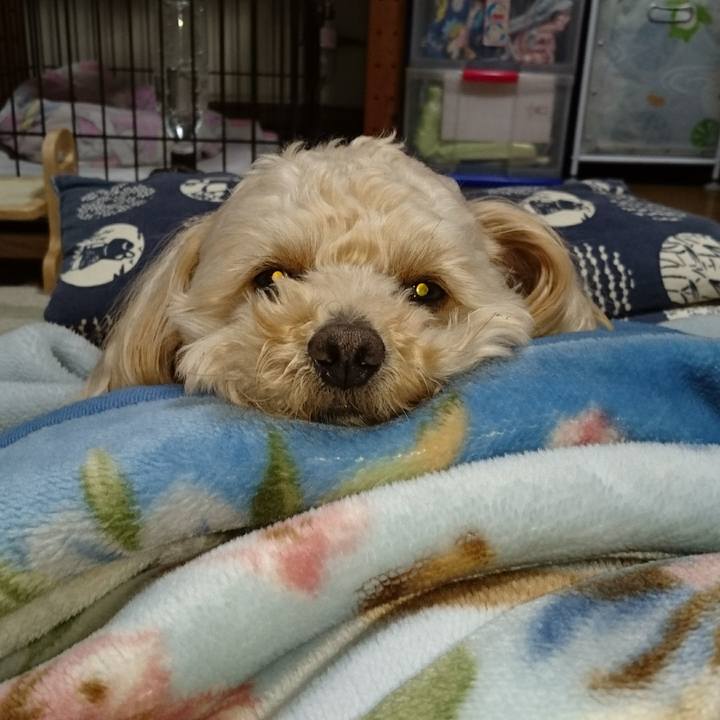 F4872267 89e3 4b05 8e27 97d5d0f38c5a