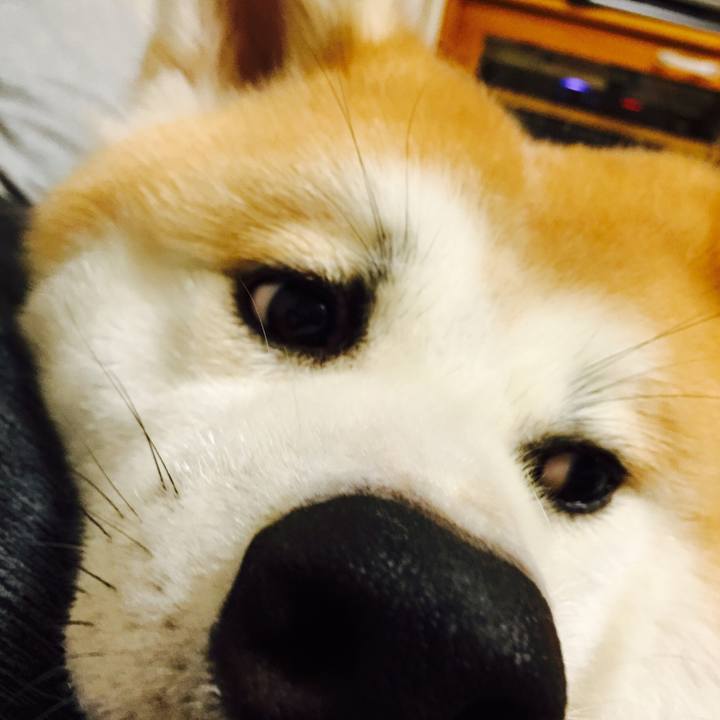 F487bd0e 93ef 4f27 a4d6 f6871d0d3658