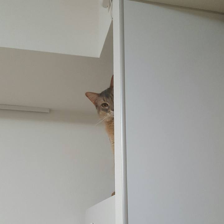 F4883cc4 3972 4f6f 8c21 5ef8ba06d018