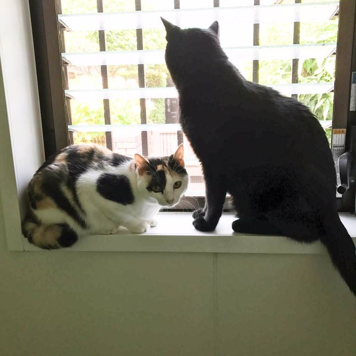 F488ba7b beab 4ddc 8939 d899fbc073ab