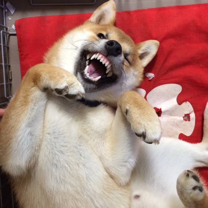 F488e89b aa23 47fe a792 cf86f695a9ff