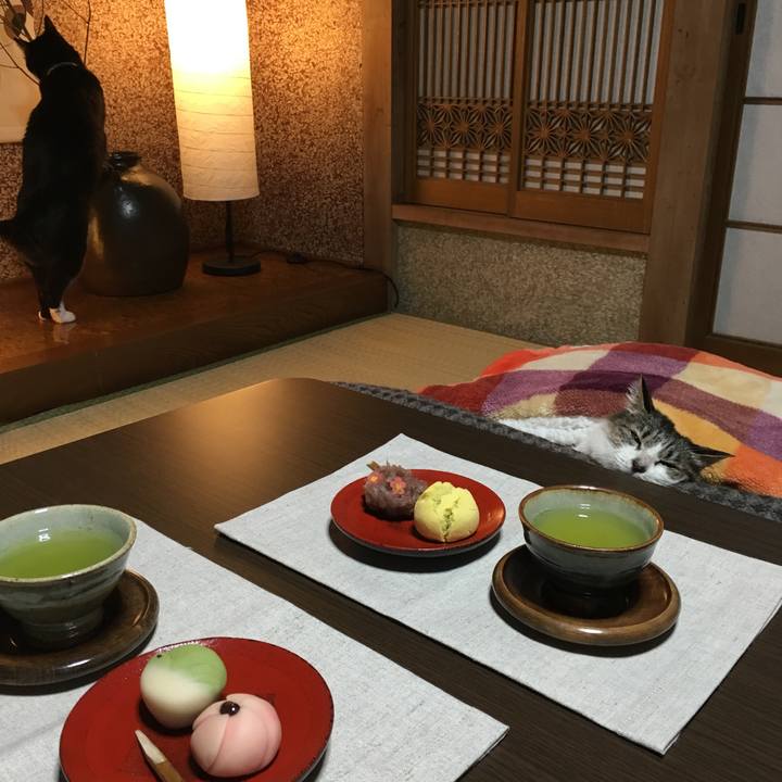 F489c326 fc2d 4106 b419 5a70ade633e8