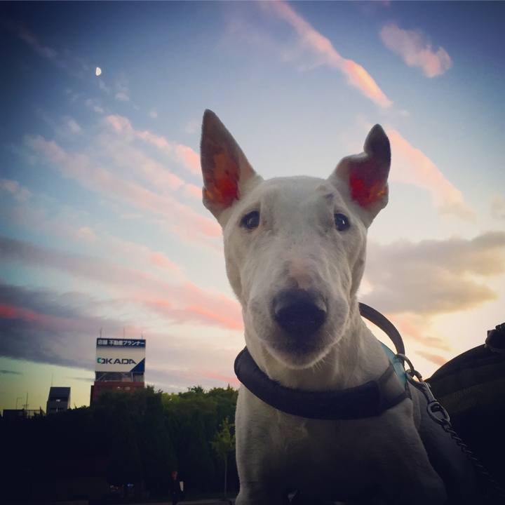 F48a45eb 1560 43f5 a343 239a3d7f6573