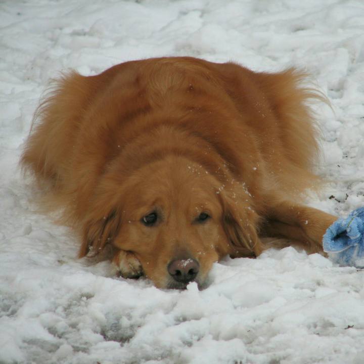 F48ac099 1c11 42a9 8607 ed0a215fedc7