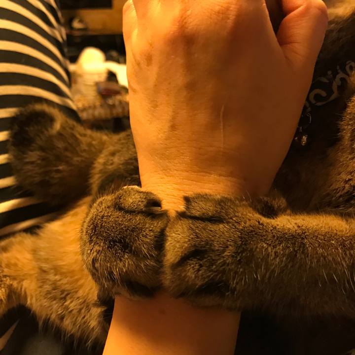 F48b403e 7903 499c ab02 b774d716e86e