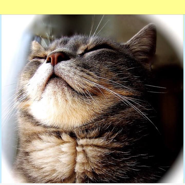 F48bb6bd 1e4c 4f5e 81ee 3a8f12c7f743