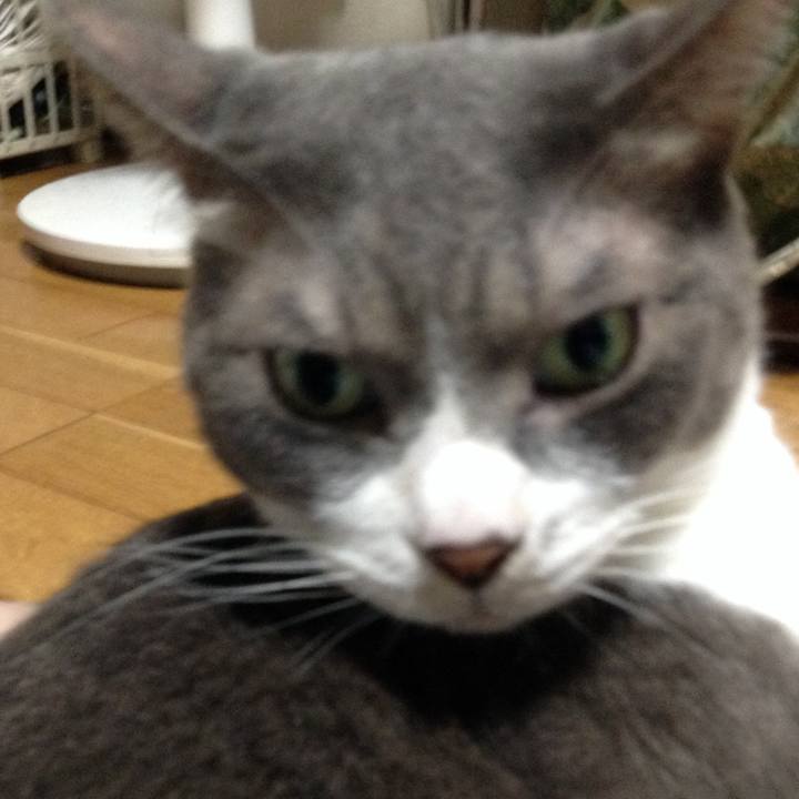 F48bd230 354b 4566 84e0 9cfe79b82f29