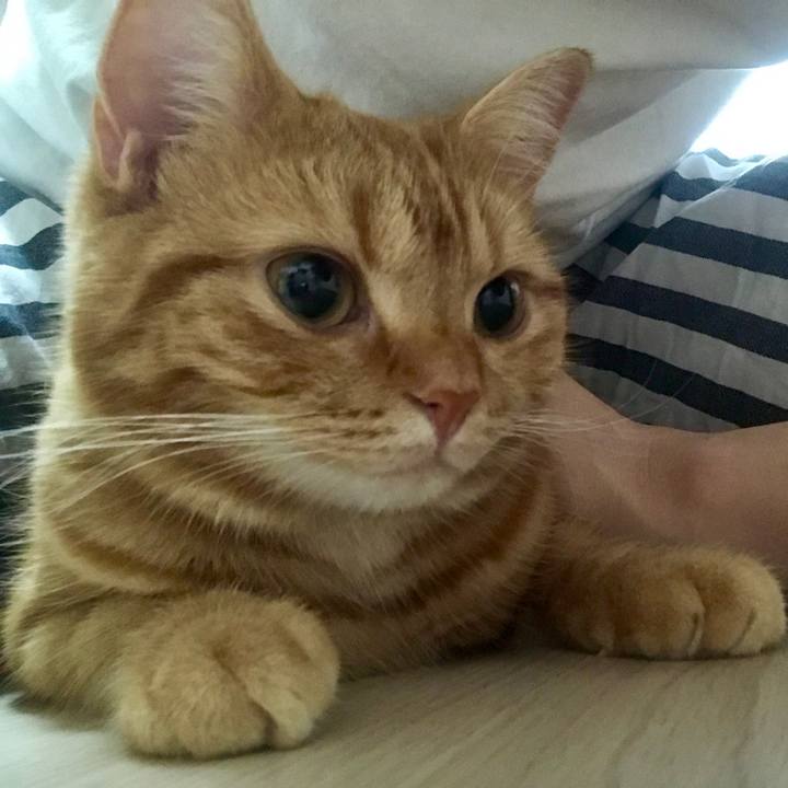 F48bdce6 9cdf 447e ae4e ed8ec0d5b7e4