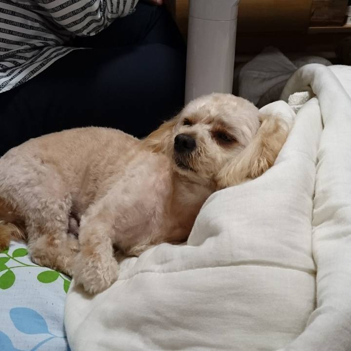 F48bf230 562d 47a0 b2b9 1d1d7584a363