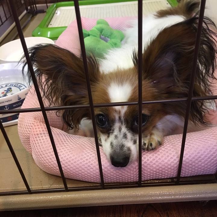 F48c6428 b8b2 4e0b bb11 482e49f0e4e8