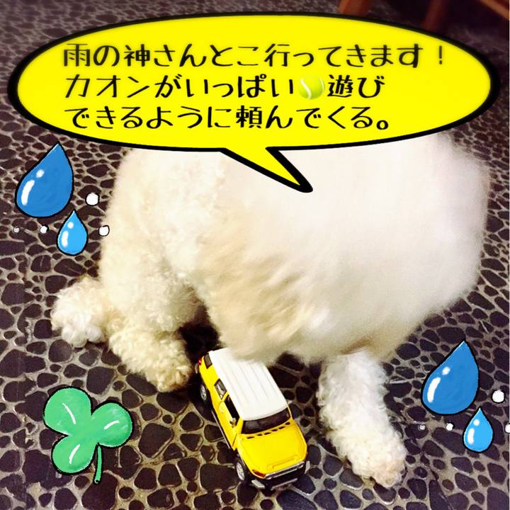 F48d9729 84f6 48ec 9598 798c7c860ca5