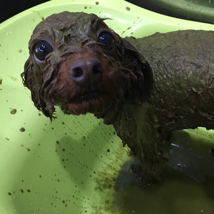 F48e8016 e6da 4c16 aeca 5a730b00eb26