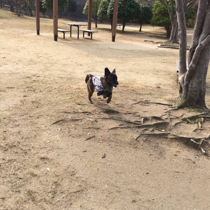 F48ef2b4 3c4a 4329 ab5b 98ba984c7e95