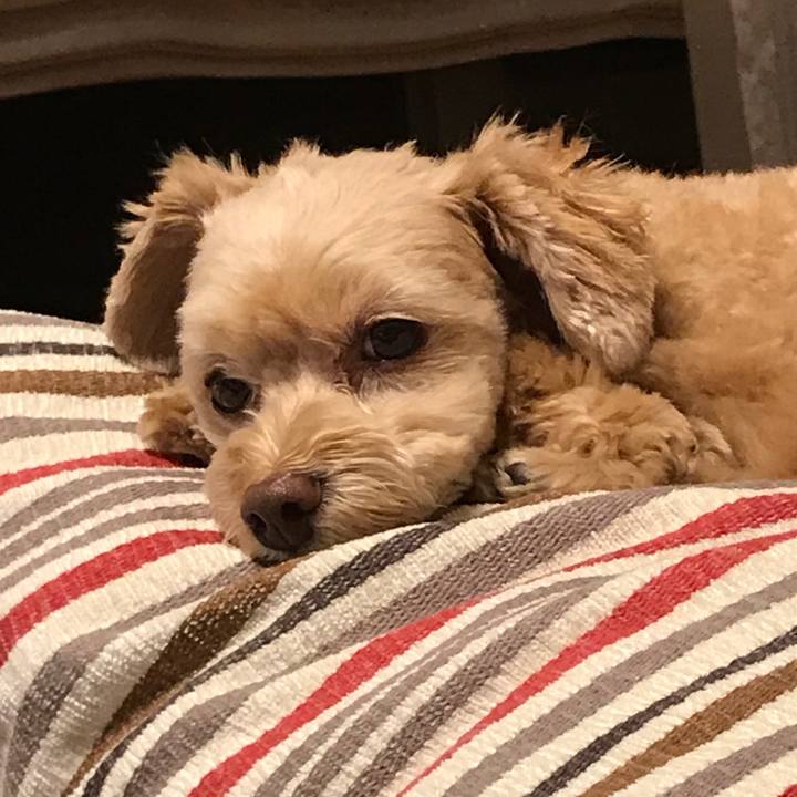 F48ef41a 05d9 4f41 b134 98d5d85e4307