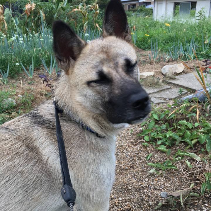 F48f306e b269 46b3 9b2b 4cb1ab68dcf3