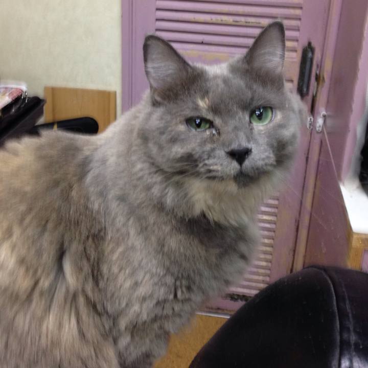 F48f5b86 4e4f 464a a813 912428fc9fff