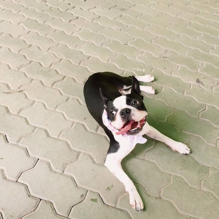 F48f6772 0967 4de3 a524 9262e37aeab4