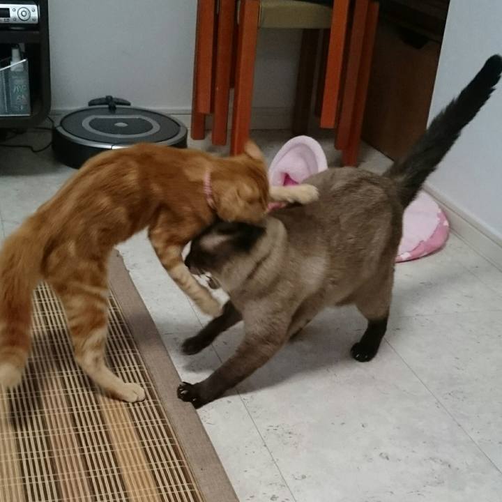 F49106fe ed1e 45af b016 182f39628d28