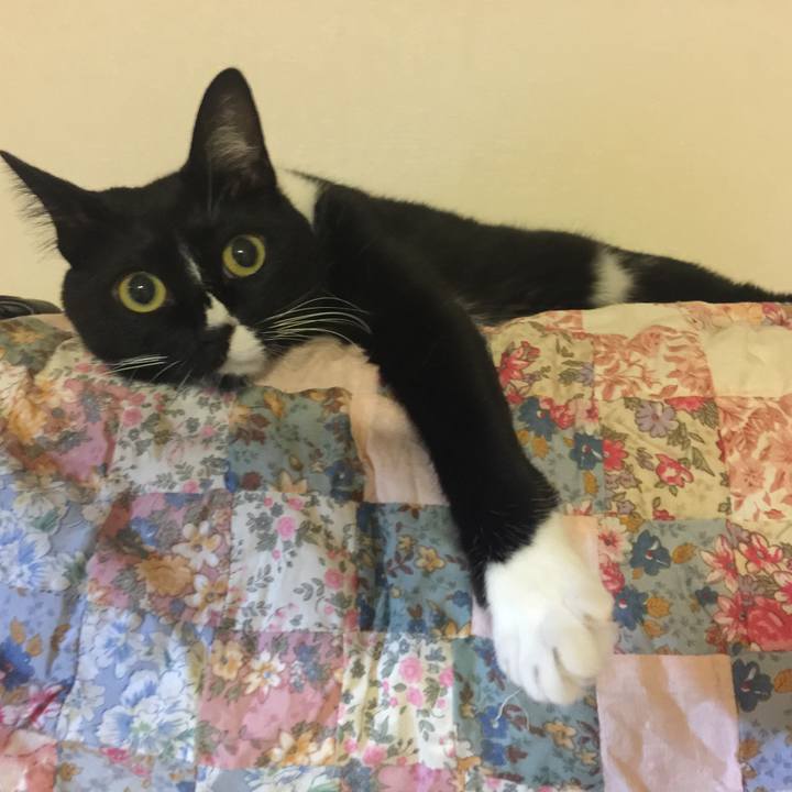 F4912419 25e7 44c9 8e14 e77918b53555