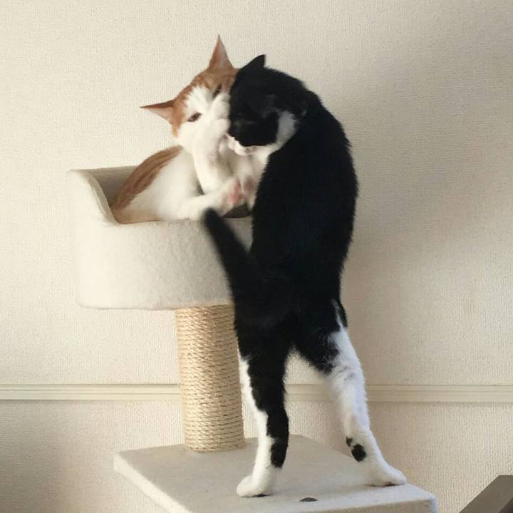 F49136ce fc33 4f0a 8060 95bc139f2aaa