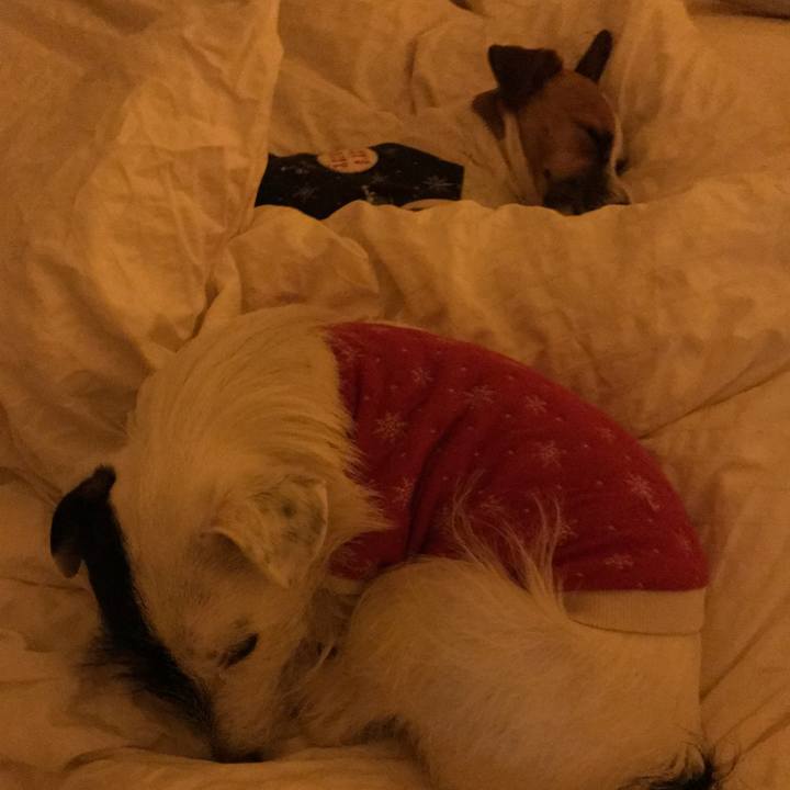 F4916994 20d8 486d 9de7 65ce47a91ef6