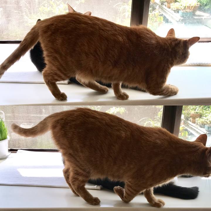 F491cc31 f0a7 4e1e 89f3 c0fef78a49f4