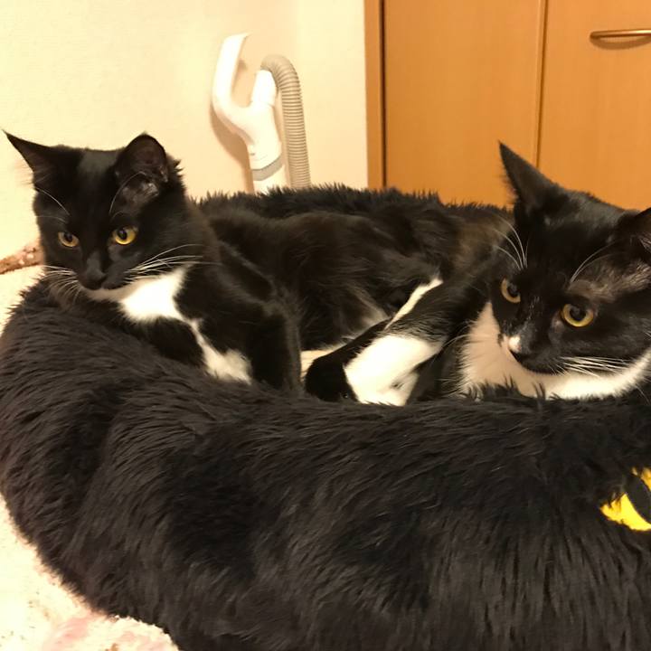 F4920218 7e28 4dc5 84a5 cff1e77869f2