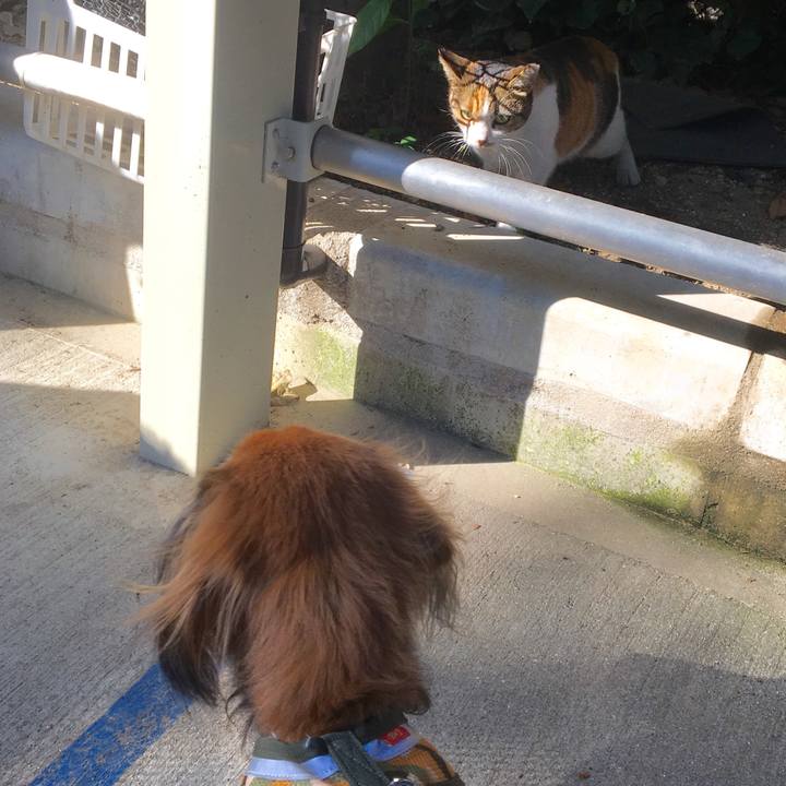 F49247fe acaf 4003 be28 650bea388a77