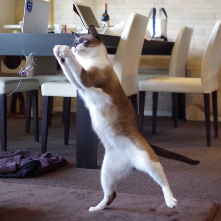 F492571f 2a0b 45c3 bab8 2e0131ccef9f