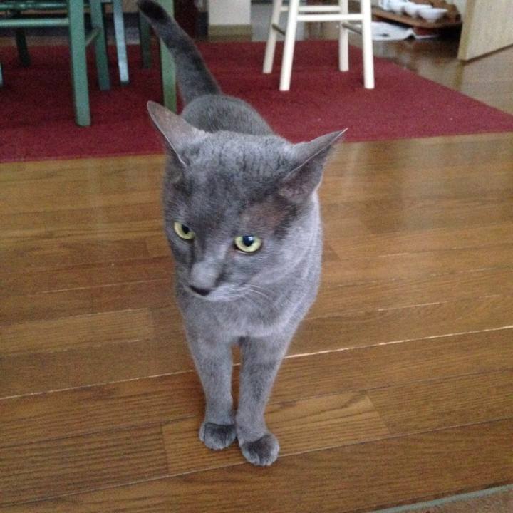 F4932b3a 6ded 41fc 941b 35cc846e3d22