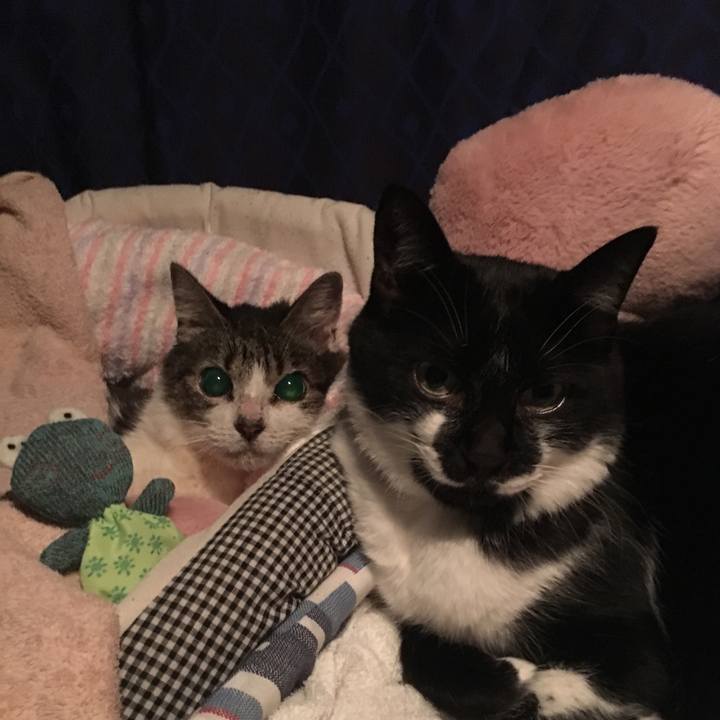 F4941927 18bf 4239 8cf6 16c8a1175ce9