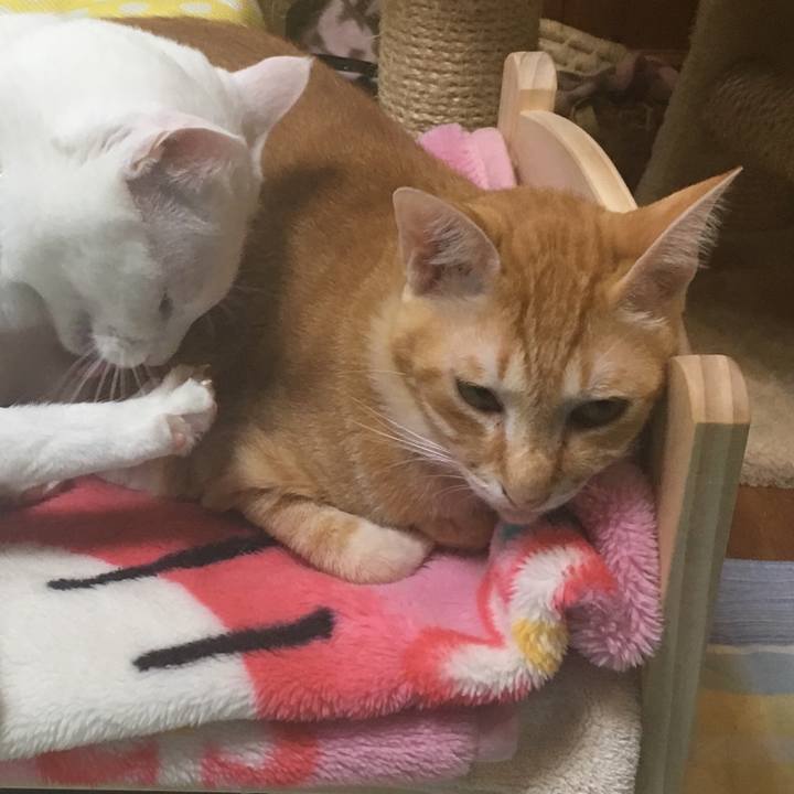 F4955eb6 69a8 463d 89c4 3e00a84e5a5a