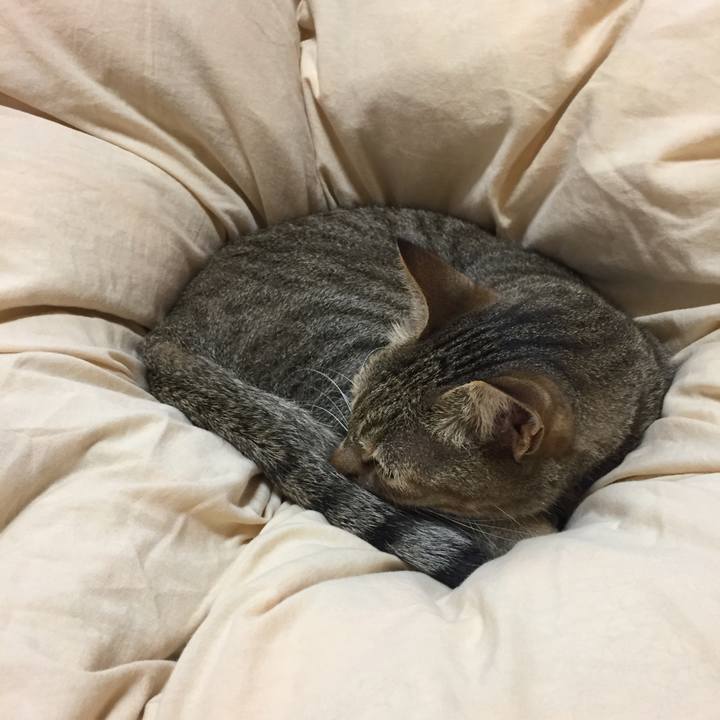 F4965619 014f 4968 b660 eaa28450eba2