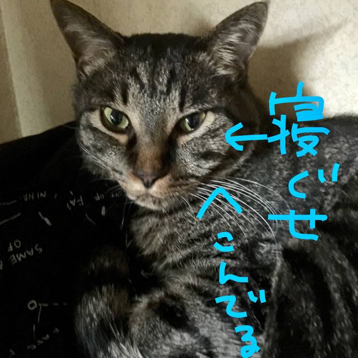 F496617e 7fc7 4318 97fa 99ba29305e33