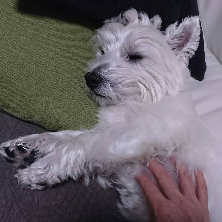 F4966e59 b4f6 49c3 a117 9d2fa87ba976